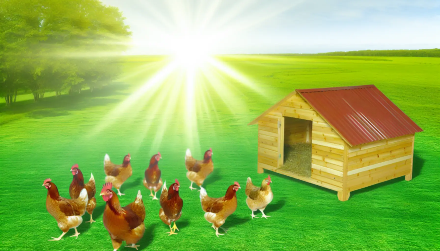 Groene daktuin met groenten in bakken